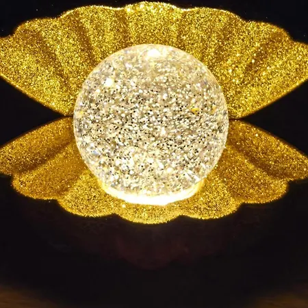 La Perle Enchantee بيت ضيافة بروفونديفيل