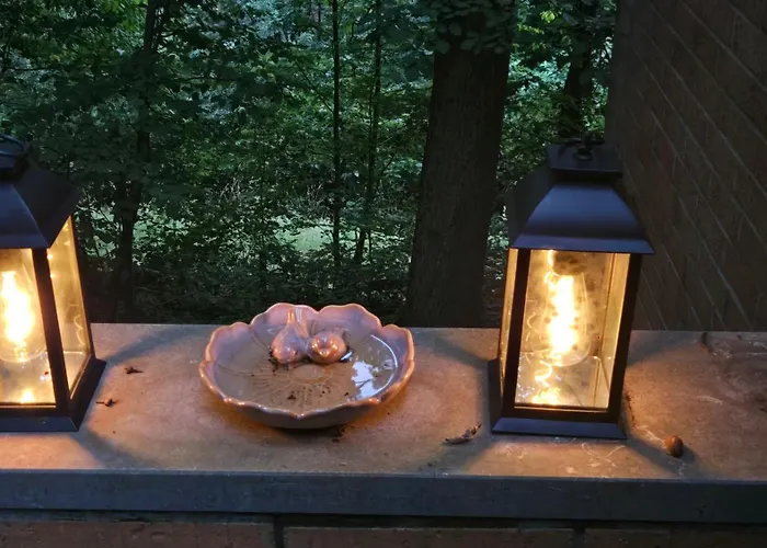 Affittacamere La Perle Enchantée Profondeville